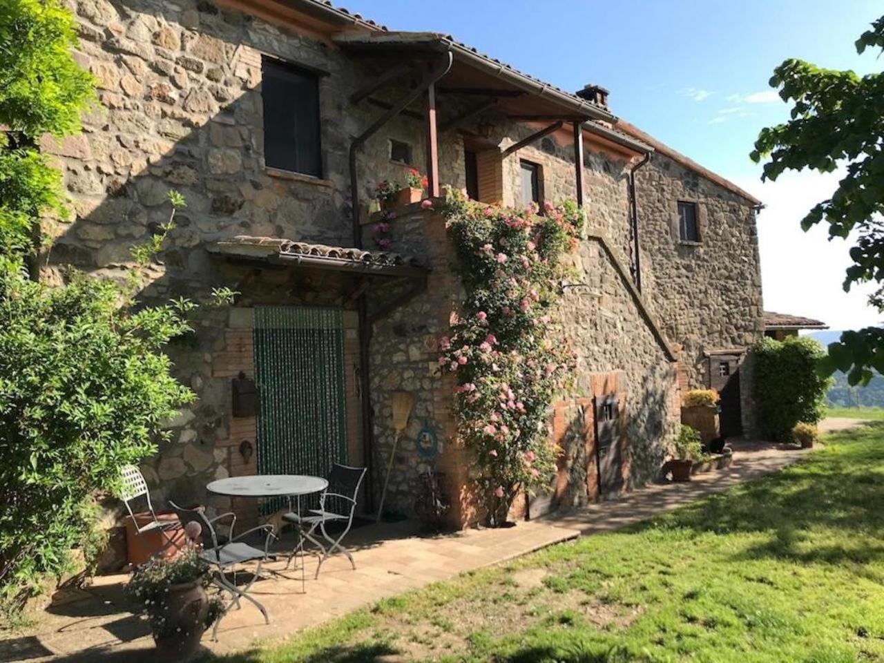 Podere Porcino Civitella dʼAgliano Exterior foto