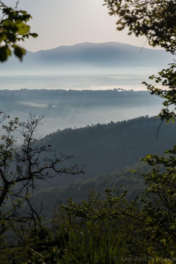 Podere Porcino Civitella dʼAgliano Exterior foto